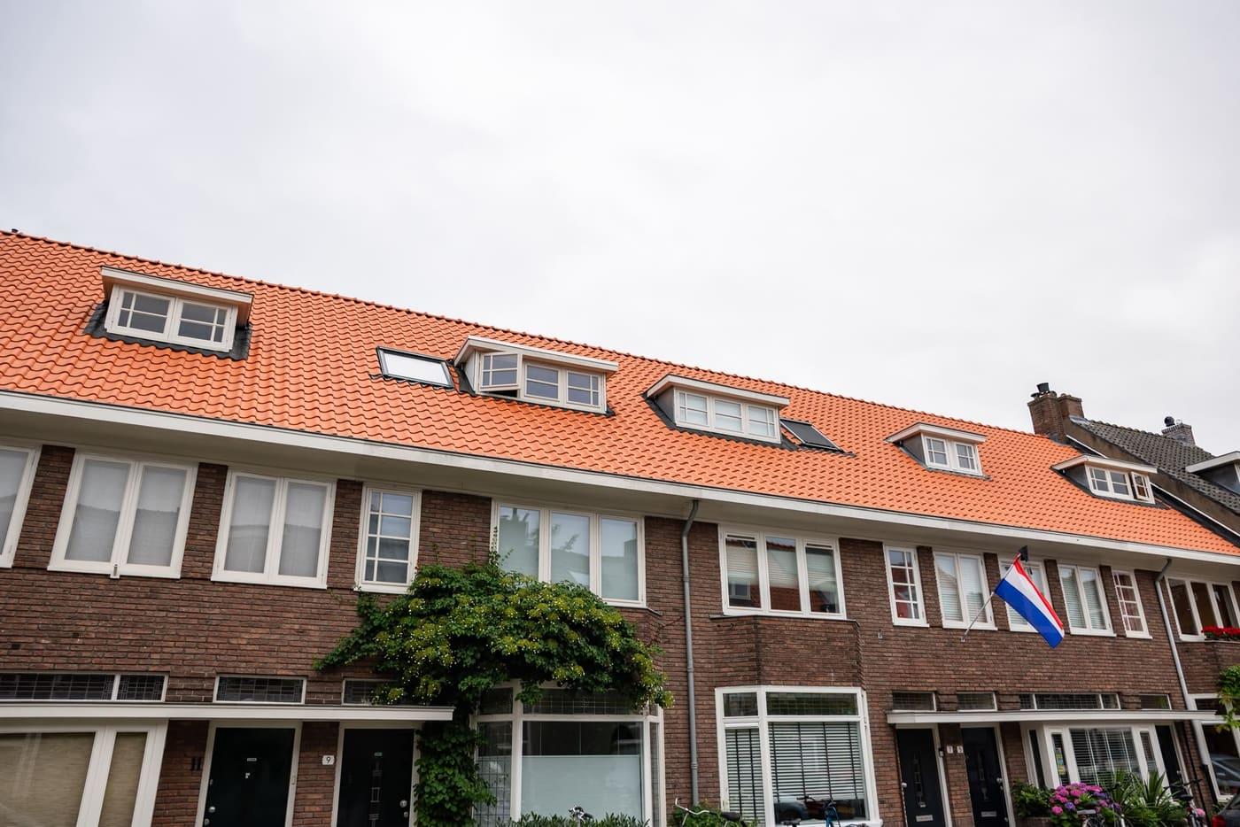 Pannendak Renovatie
